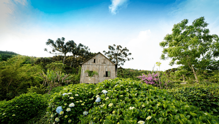 1adb291a-a9f9-4e48-9662-a9986cc9e1f3