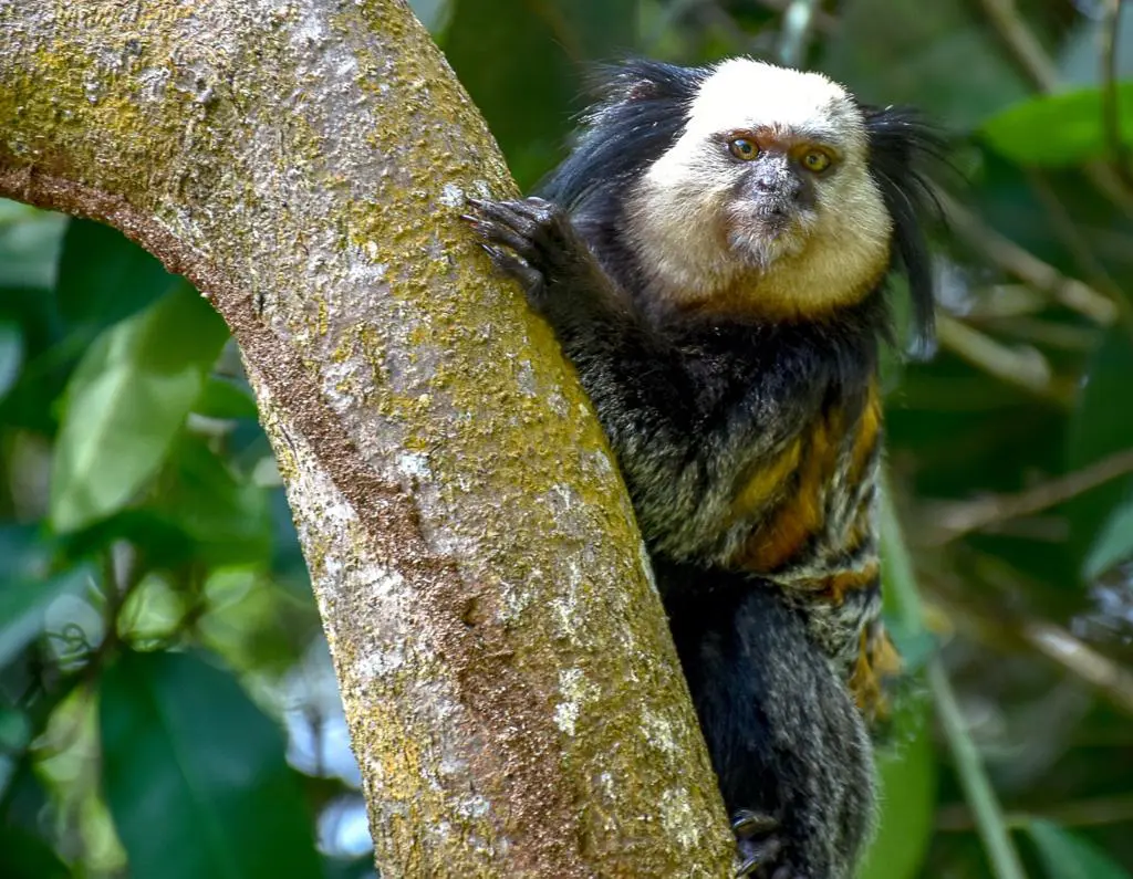 72aed185-5f0b-46a1-b016-bf65799d6325