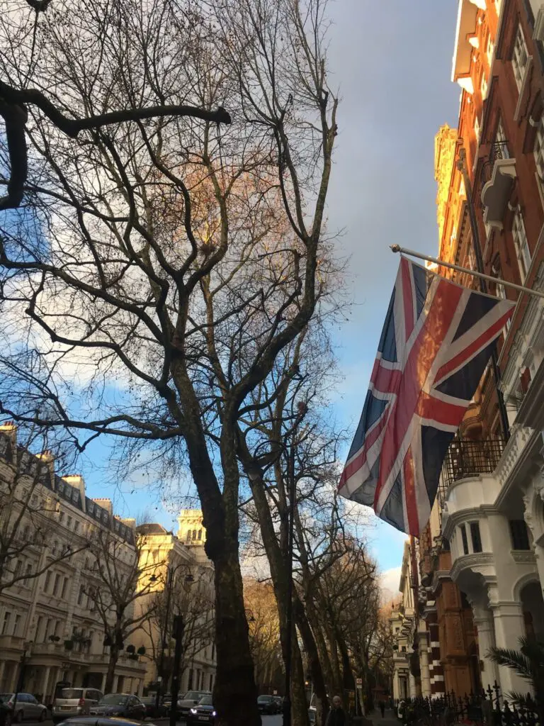 8ece4d38-b3f5-4efc-8a42-cbd959527a91-scaled