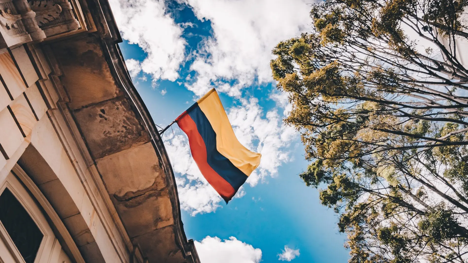 braztoa-e-procolombia