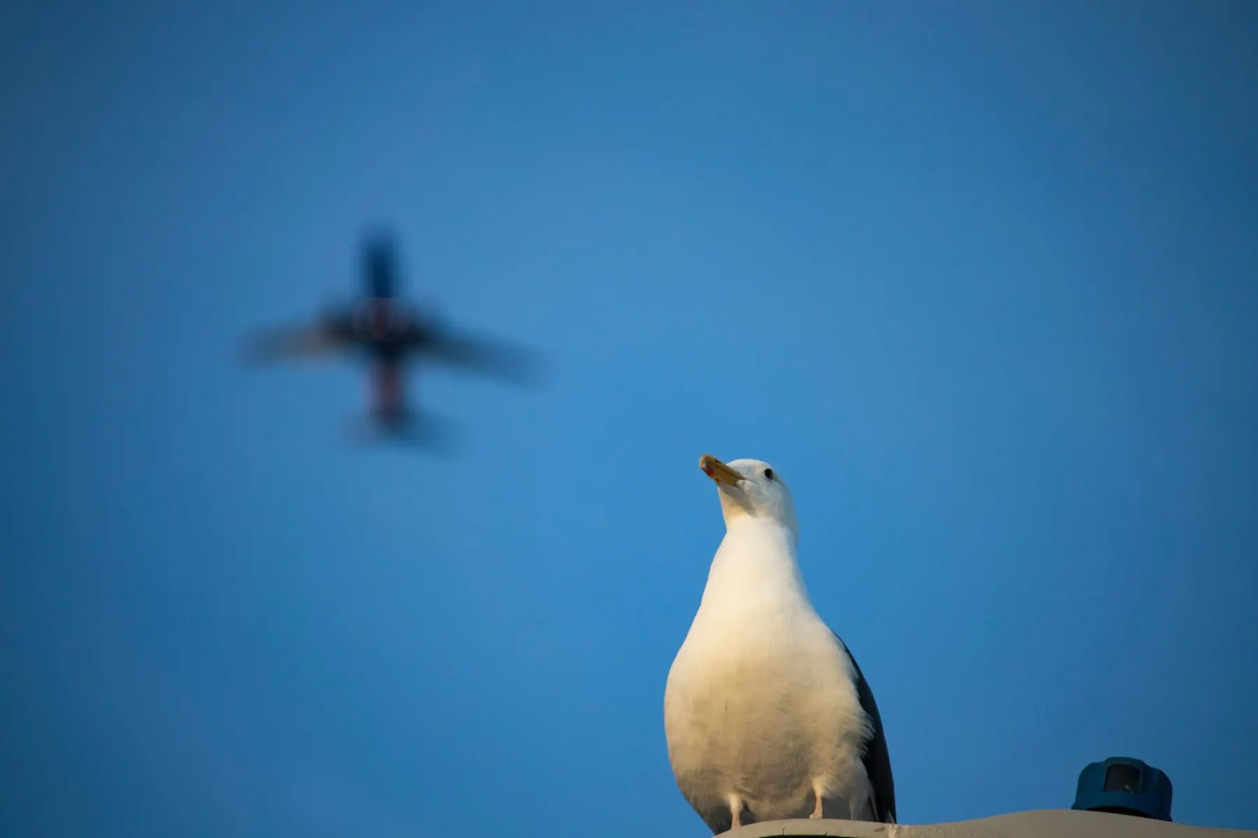 sven-piper-lu8kyrp1sps-unsplash-scaled