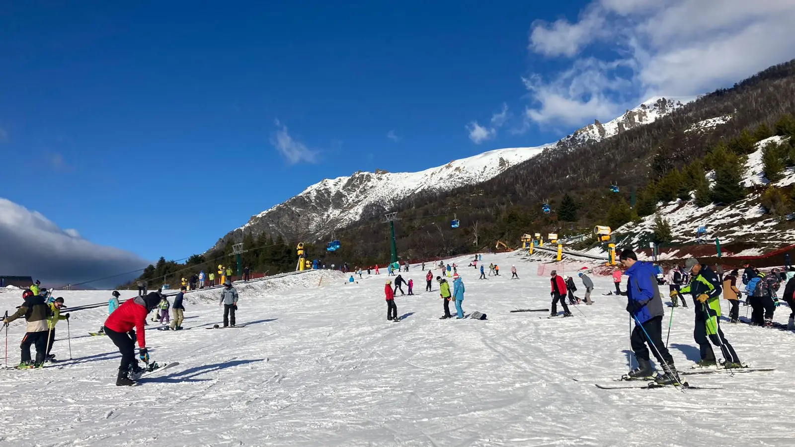 whatsapp-image-2022-06-17-at-120216-pm