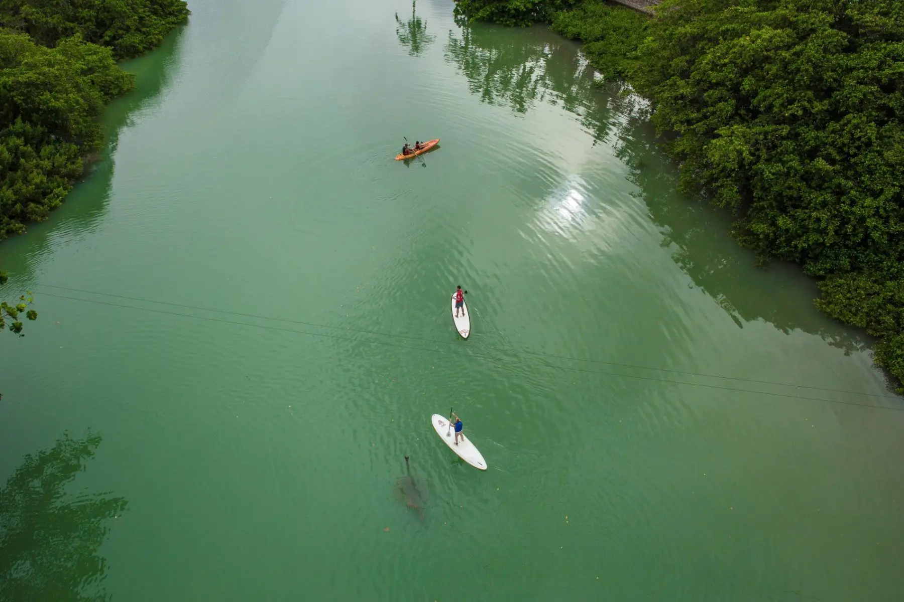 Amarante Pacto Global ONU Amarante Pacto Global ONU