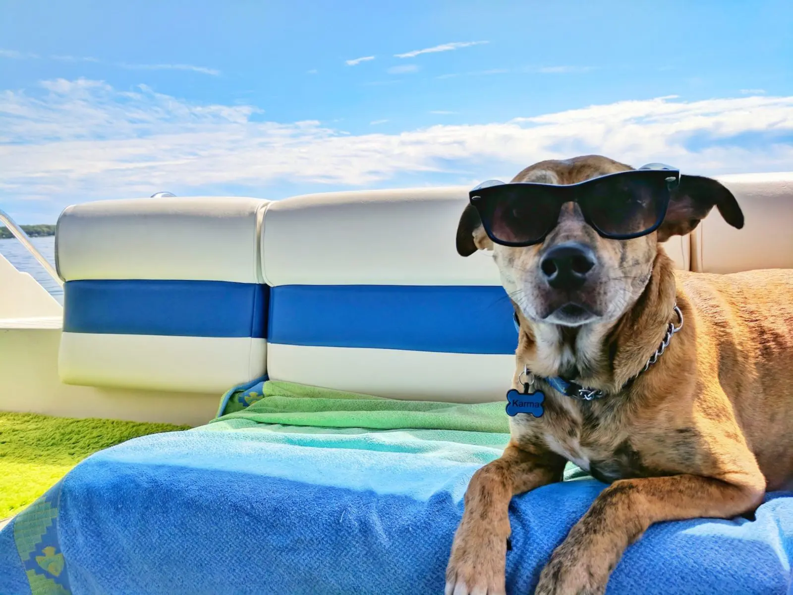 josh-rakower-zBsXaPEBSeI-unsplash Pet Friendly