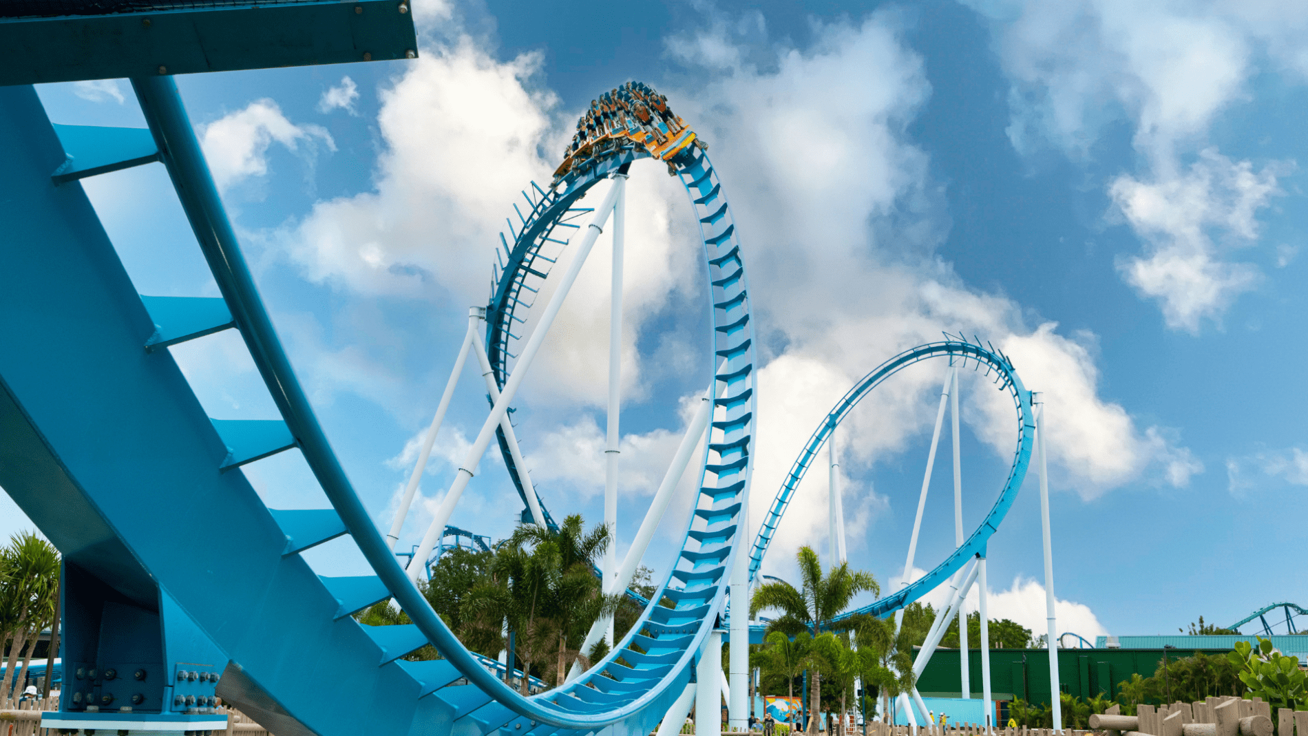 SeaWorld SeaWorld