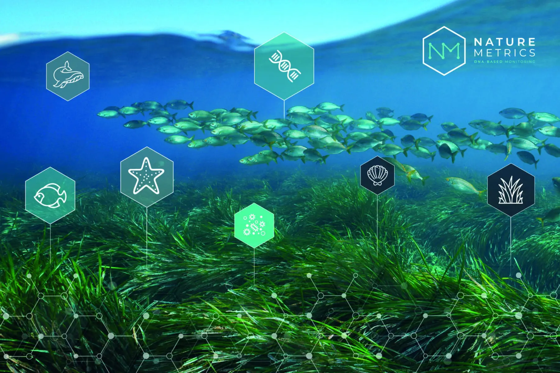 Amostras de água do mar serão coletadas pelos navios por meio de kits de coleta de eDNA