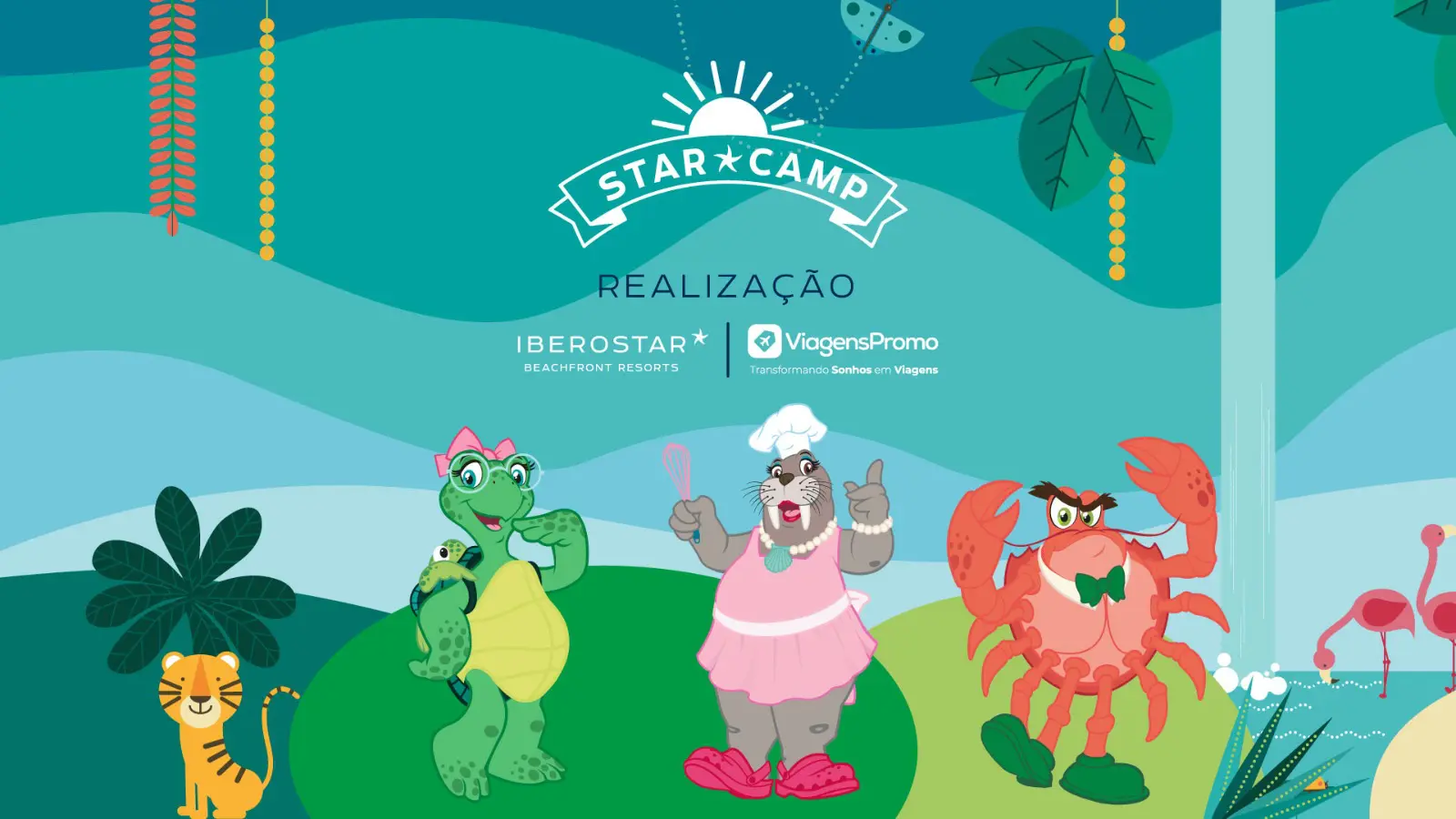 Star Camp - Foto: Divulgação