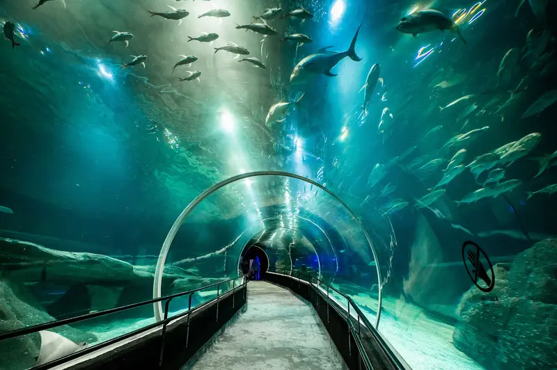 AquaRio. Foto: Divulgação AquaRio. Foto: Divulgação