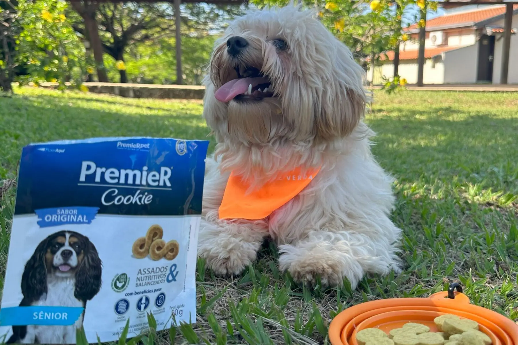 Parceria-Premier3 Clara resorts