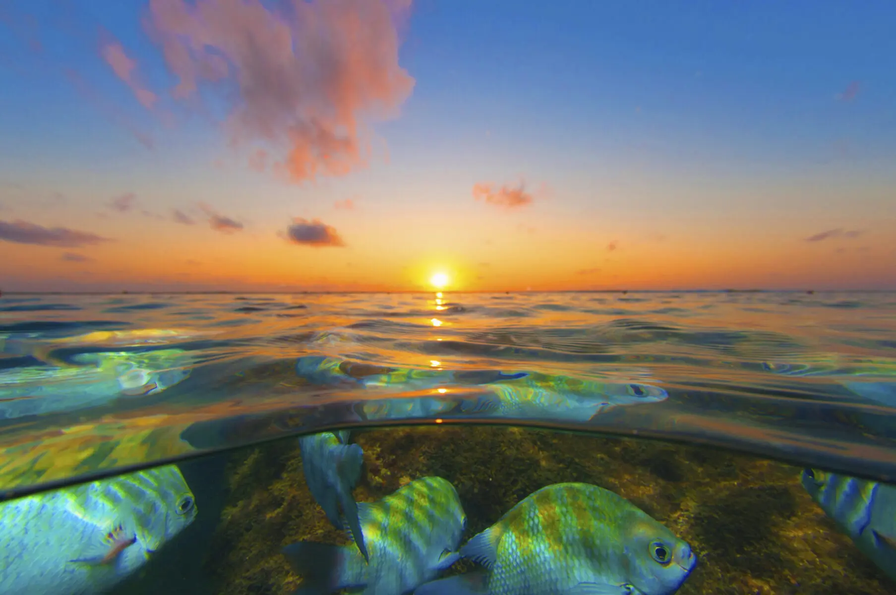 ThiagoCavalcantiSubNascerdoSol nordeste