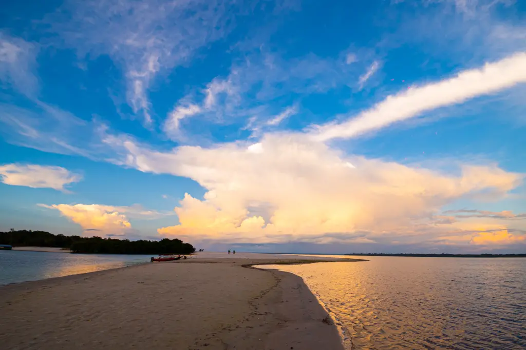 59c3f65c-7cd2-4d78-bdb8-c20c9729f8ae Amazonas – Manacapuru - Foto: Manati Lodge