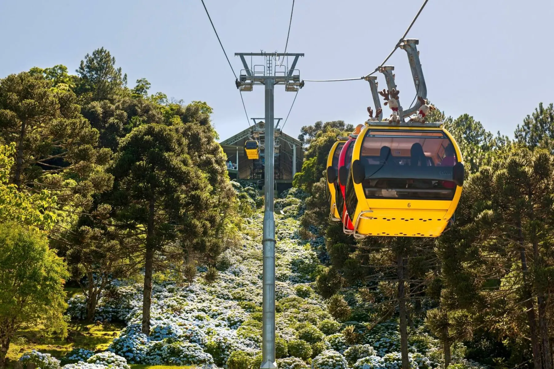 O Bondinhos Aéreos estará fechado para manutenção preventiva de toda a estrutura do equipamento que movimenta as cabines. O Bondinhos Aéreos estará fechado para manutenção preventiva de toda a estrutura do equipamento que movimenta as cabines.