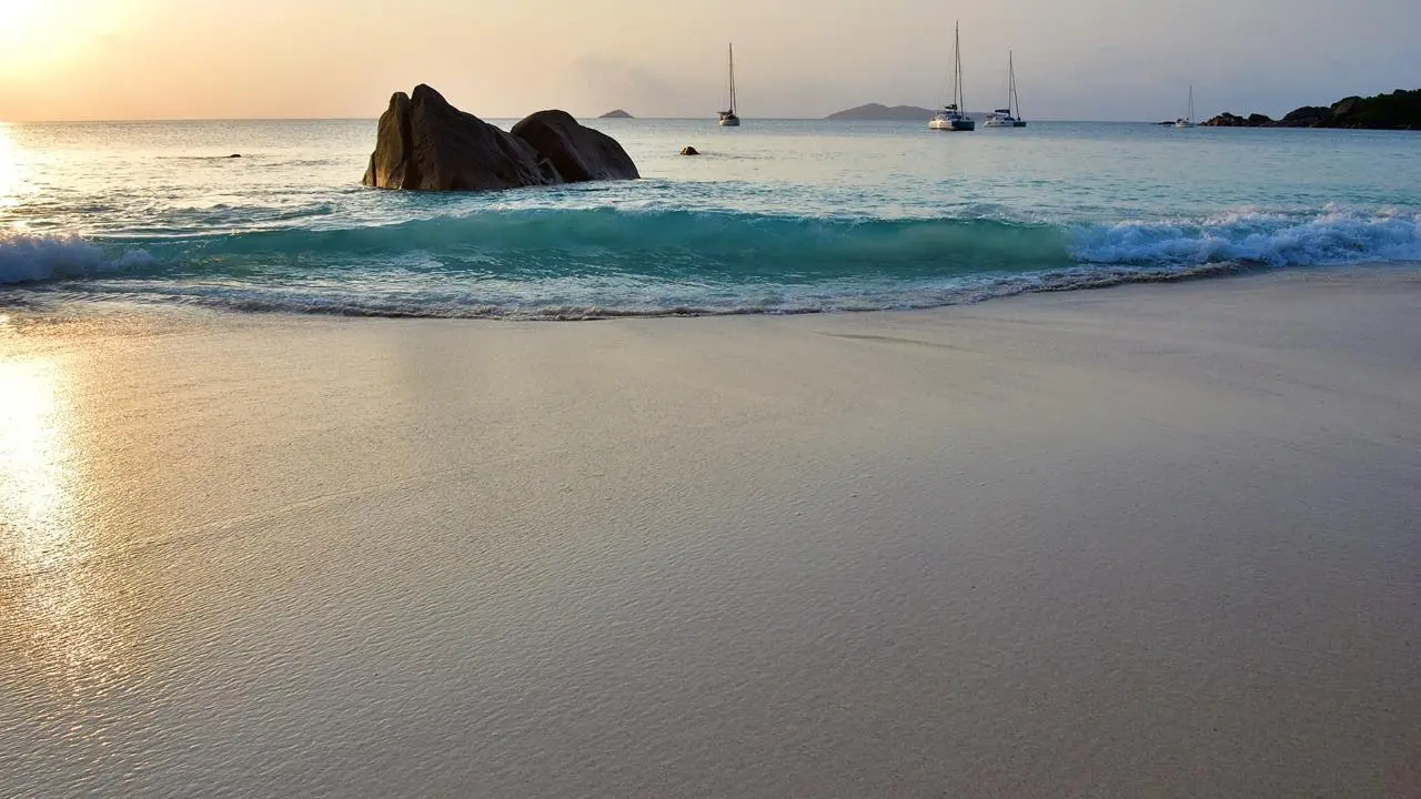 unnamed - 2024-04-30T220832.775 Foto: Divulgação