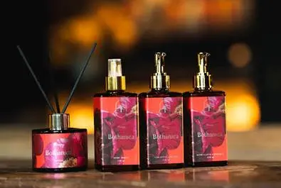 Hotel Ort - coleção Bothanica Foto: Divulgação Hotel Ort - coleção Bothanica Foto: Divulgação