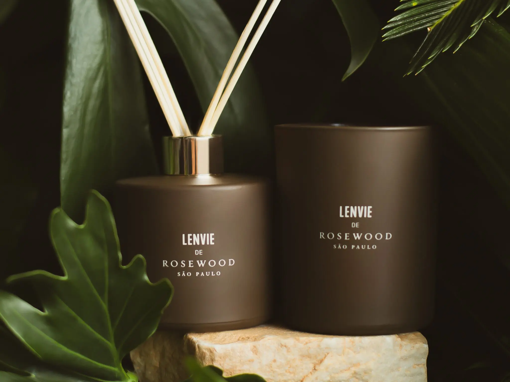 Floresta-Noturna-L-envie-Rosewood-SP--5 rosewood são paulo lenvie