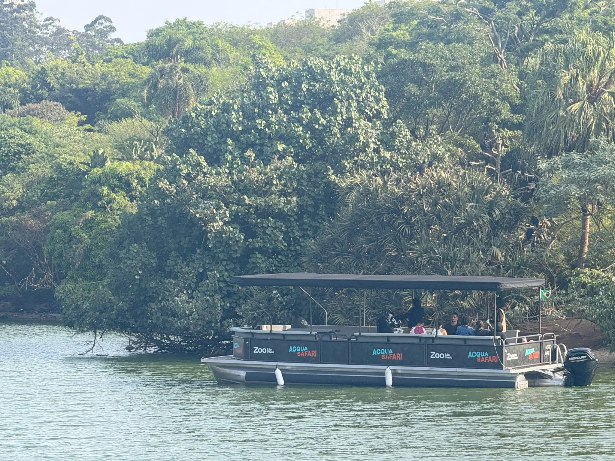 Acqua Safari 4 Zoológico