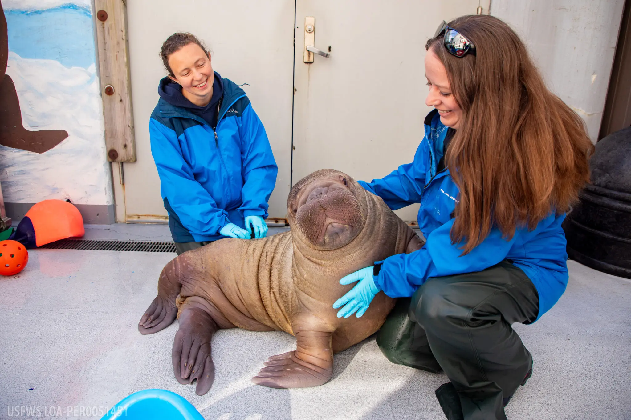 Uki 9- Photo credit_ ASLC SeaWorld