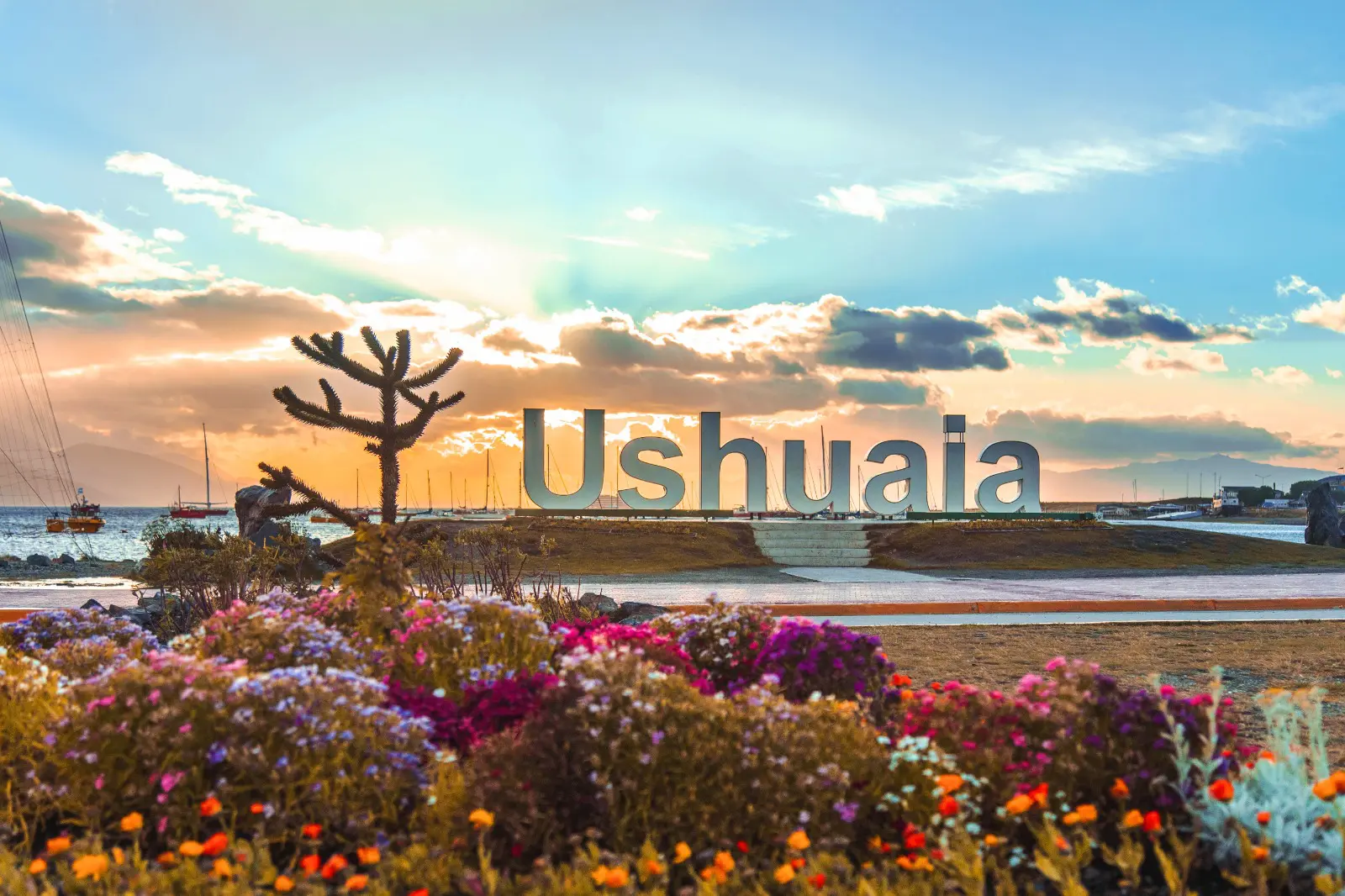 WhatsApp Image 2024-10-31 at 14.33.59