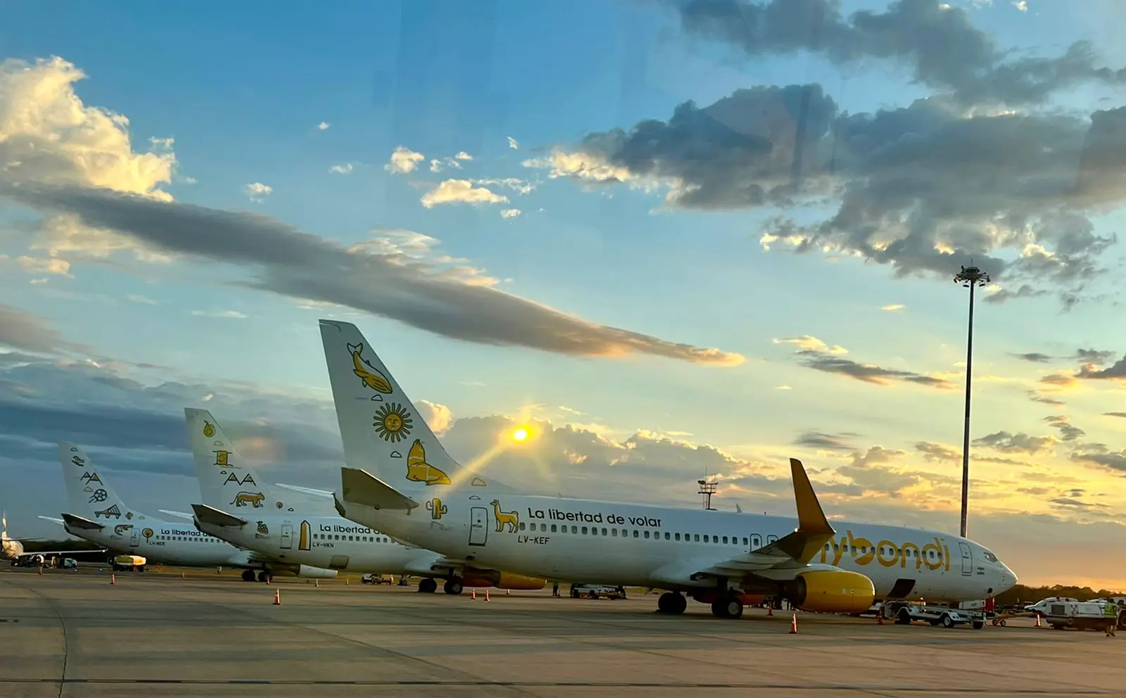 Flota de Flybondi actual Frota atual da Flybondi (Foto: Divulgação)