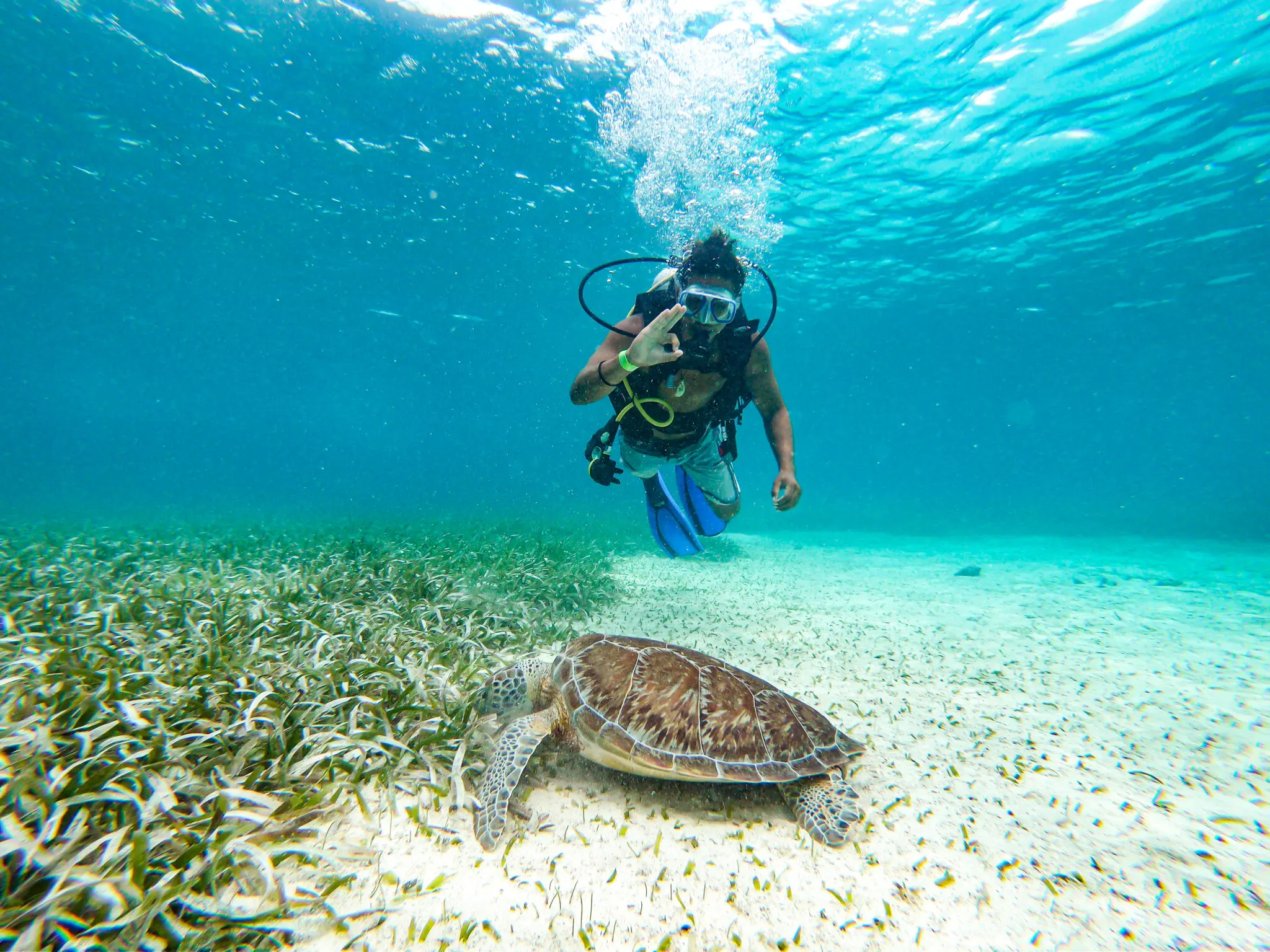Biltmore Belize
