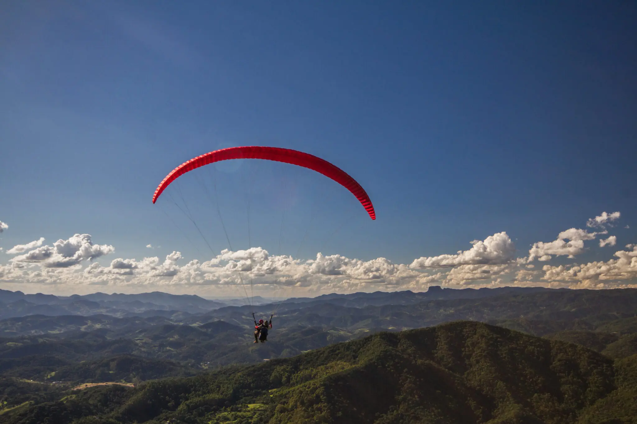link (10) Botanique Mantiqueira
