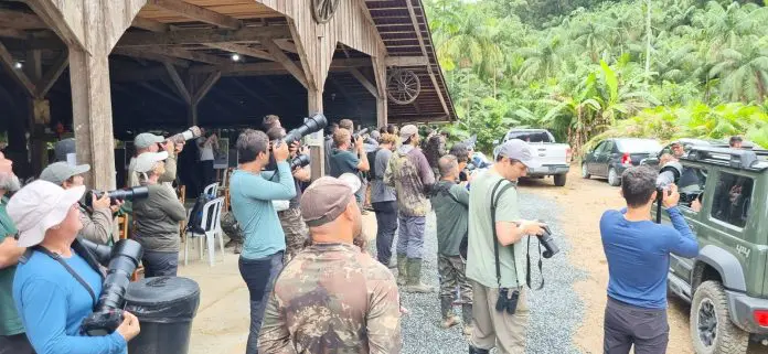 big_day Joinville aves