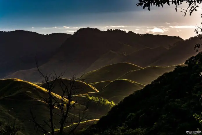 Vale do Café. Crédito: Divulgação