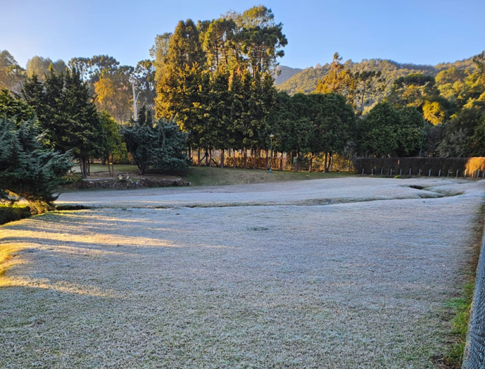 handler (10) Monte Verde