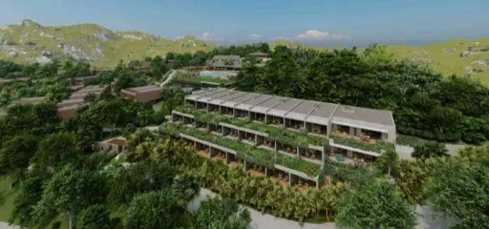 Projeto--1- Clara Inhotim