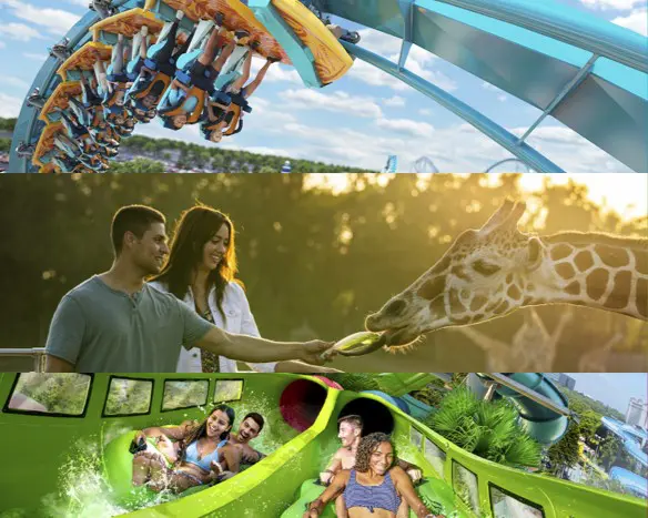 BF-UnitedParks United Parks