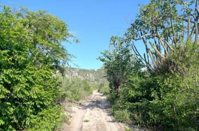 O Vale do Catimbau enfrenta desafios relacionados à infraestrutura O Vale do Catimbau enfrenta desafios relacionados à infraestrutura. Crédito: Agência Câmara de Notícias