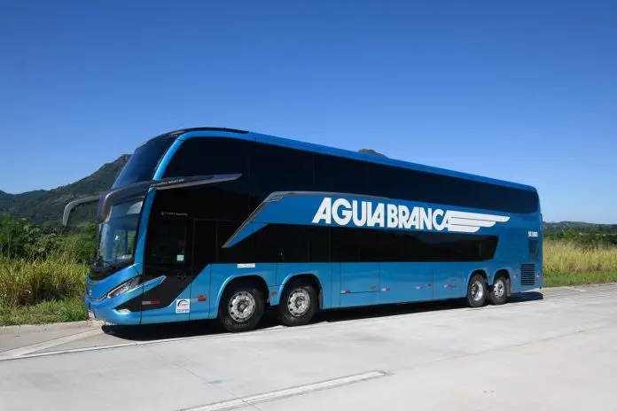 link (2) águia branca feriado