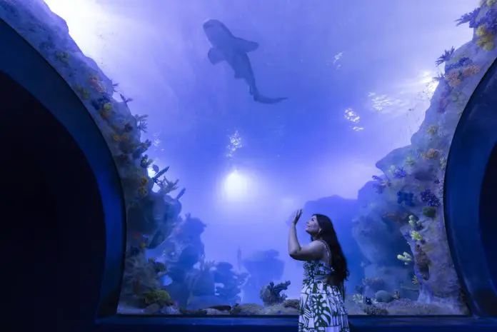 AquaFoz abre as portas em Foz do Iguaçu com um dos maiores tanques oceânicos da América do Sul. Créditos: Kiko Sierich