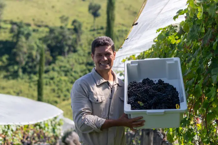 Essenza-2025-7 Enoturismo serra mantiqueira