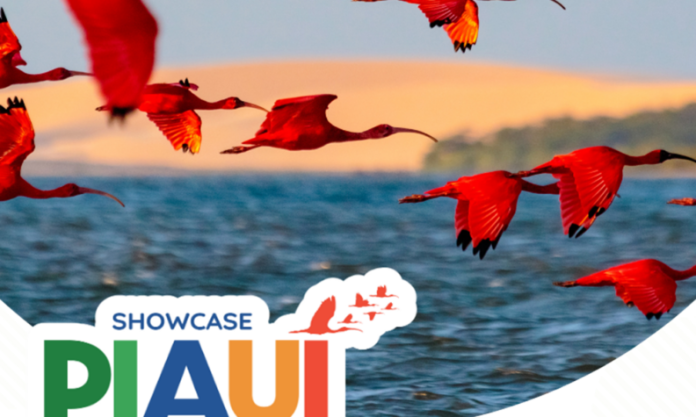 Campanha do Piauí incentiva agentes de viagens portugueses a promoverem o destino no Nordeste brasileiro. Crédito: Divulgação