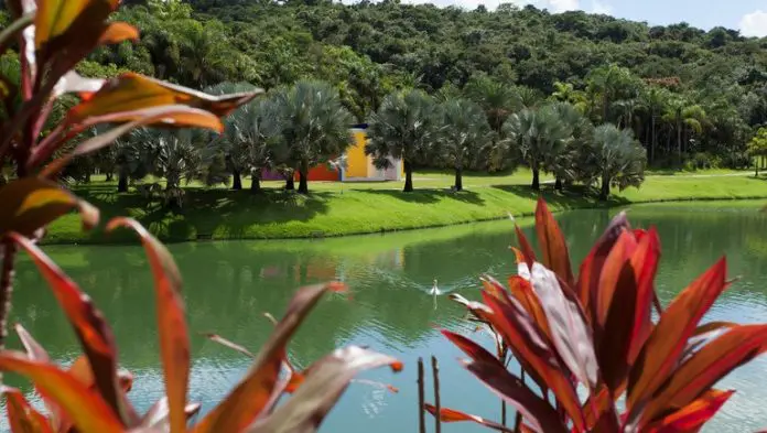 4f92fdd9-9de2-4674-8a13-753635e3d0ea Inhotim New York Times