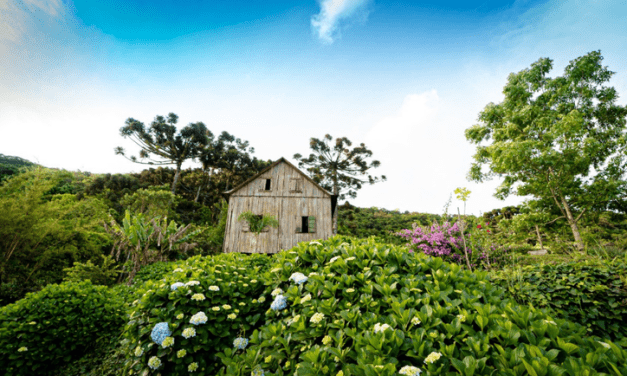 MTur e Ministério da Agricultura promovem projeto “Experiências do Brasil Rural”