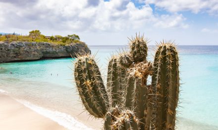 Curaçao elimina teste PCR para entrada na ilha