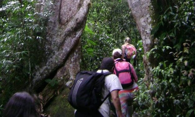 Embratur destaca diversidade da natureza brasileira na ATWS