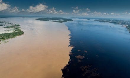Amazônia é um bom destino para viajar em 2023