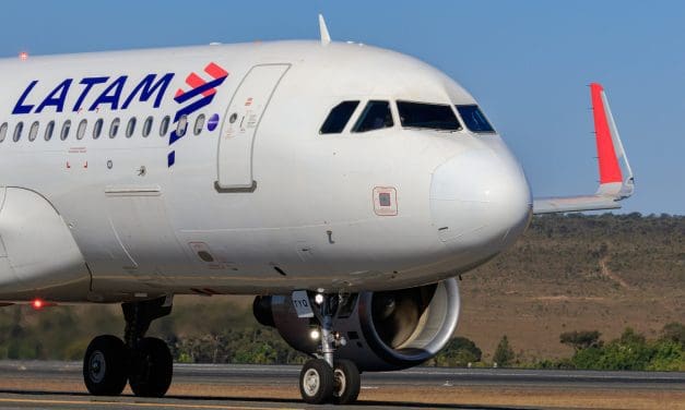 Avião solidário da Latam transporta micos de tufo branco para Ceará