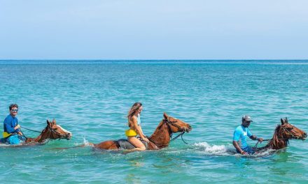 A Jamaica também pode ser explorada a cavalo