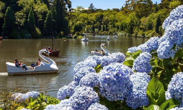 Turistur celebra sucesso do Portal do Agente com parceria da Omnibees