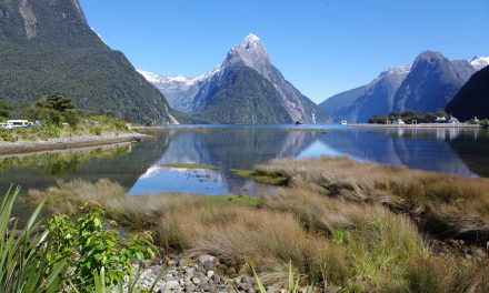 Nova Zelândia reabrirá fronteiras de forma gradativa; entenda