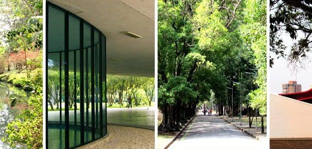 Parque Ibirapuera bate recorde com mais de 290 mil pessoas