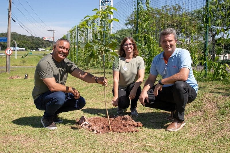 Wet´n Wild inicia o plantio de 25 árvores por mês em Itupeva