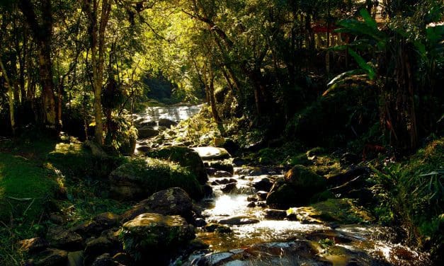 Programa SP Ecoaventura ganha nova edição em Pindamonhangaba