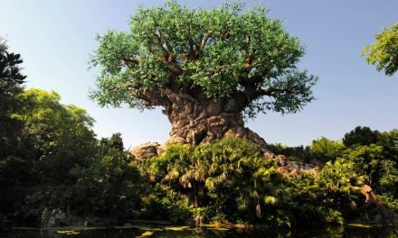 Disney’s Animal Kingdom Theme Park celebra seus 25 anos