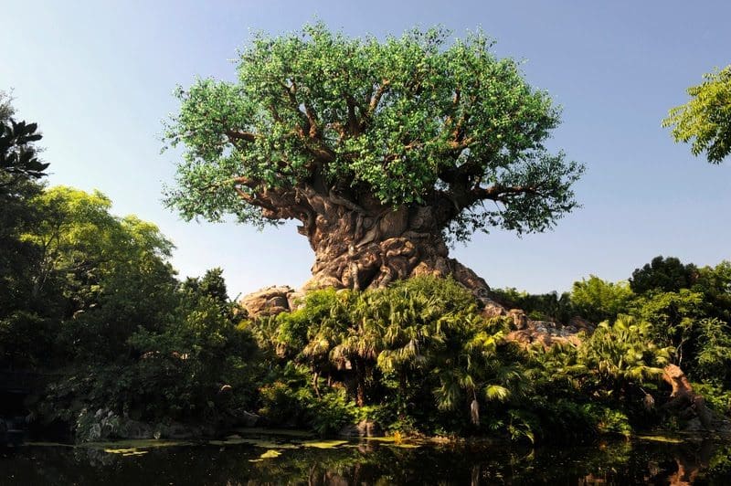 Disney’s Animal Kingdom Theme Park celebra seus 25 anos
