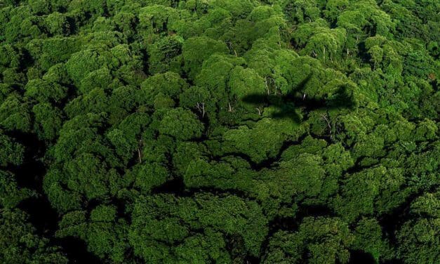 Dia Mundial do Meio Ambiente: aviação adota práticas sustentáveis